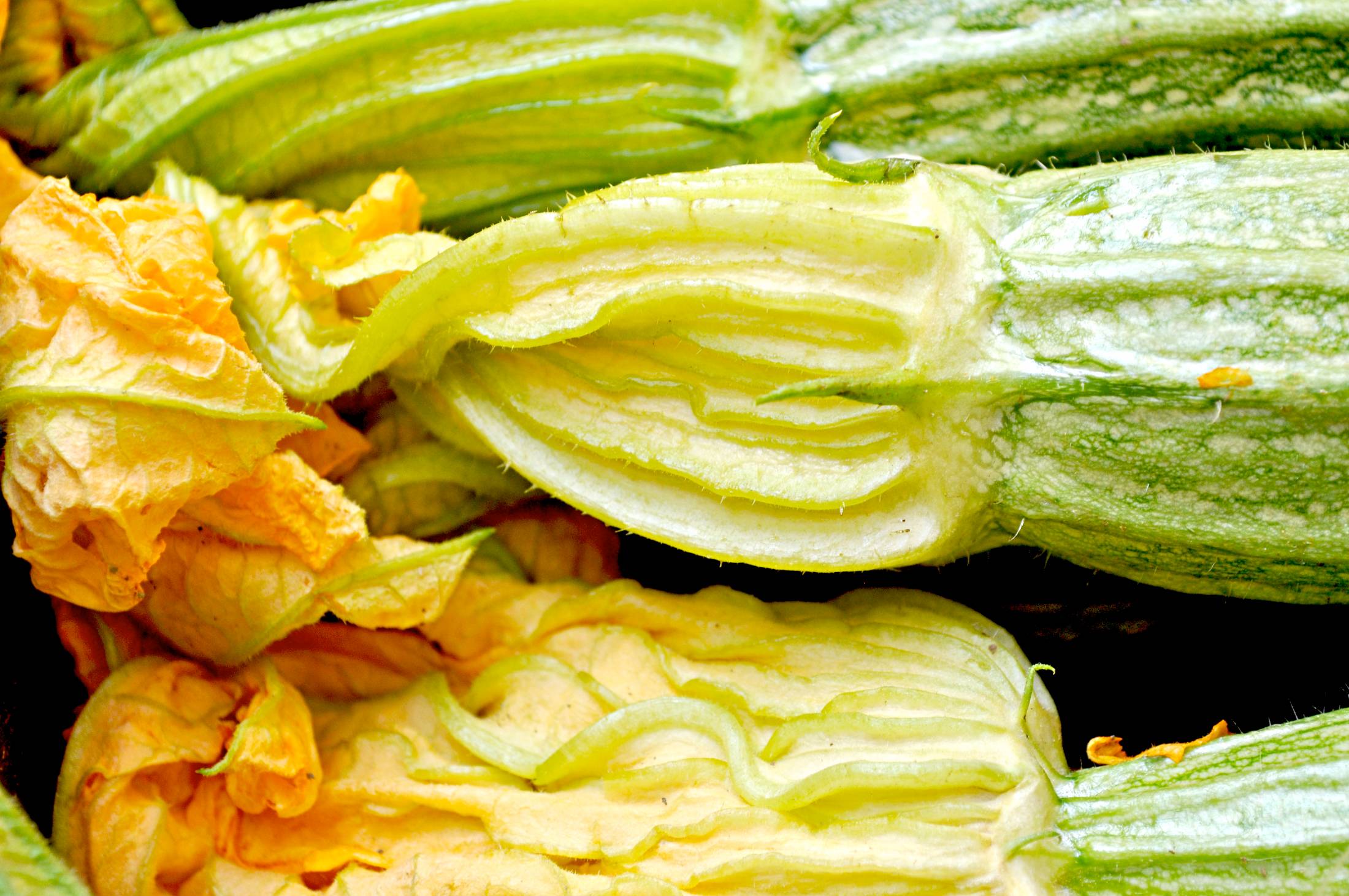 Zucchini flower fresh from the market