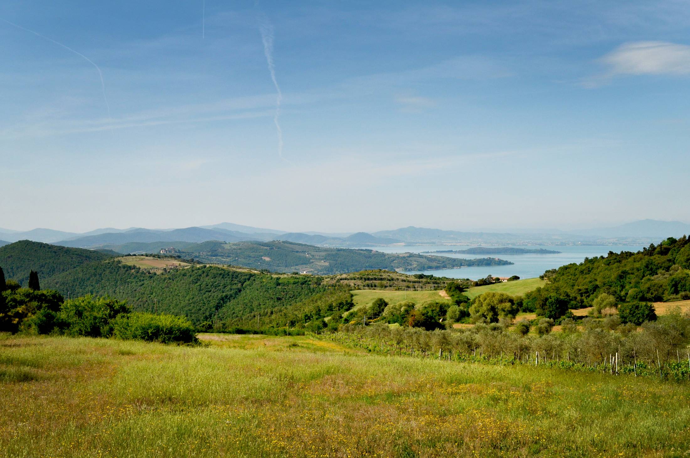 Summertime in Tuscany countryside